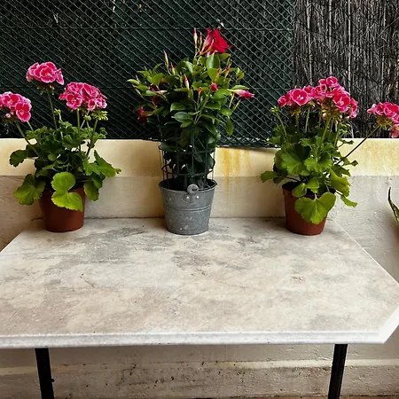 아파트 3 Pieces Avec Terrasse - 150m Du Palais Sur Le Rocher 몬테카를로